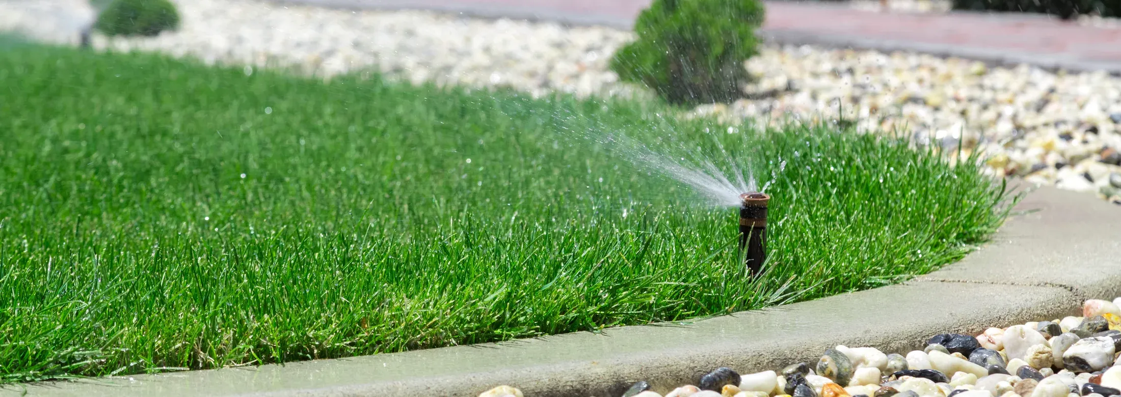 watering lawn, irrigation system
