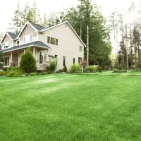 lawn