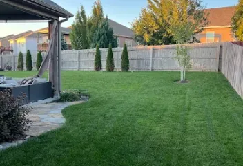 backyard-lawn-care