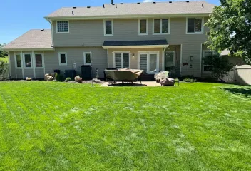 backyard-home-lawn