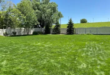 landscaped-lawn