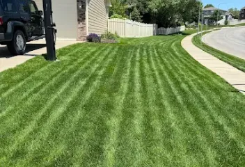 mowing-lines-lawn