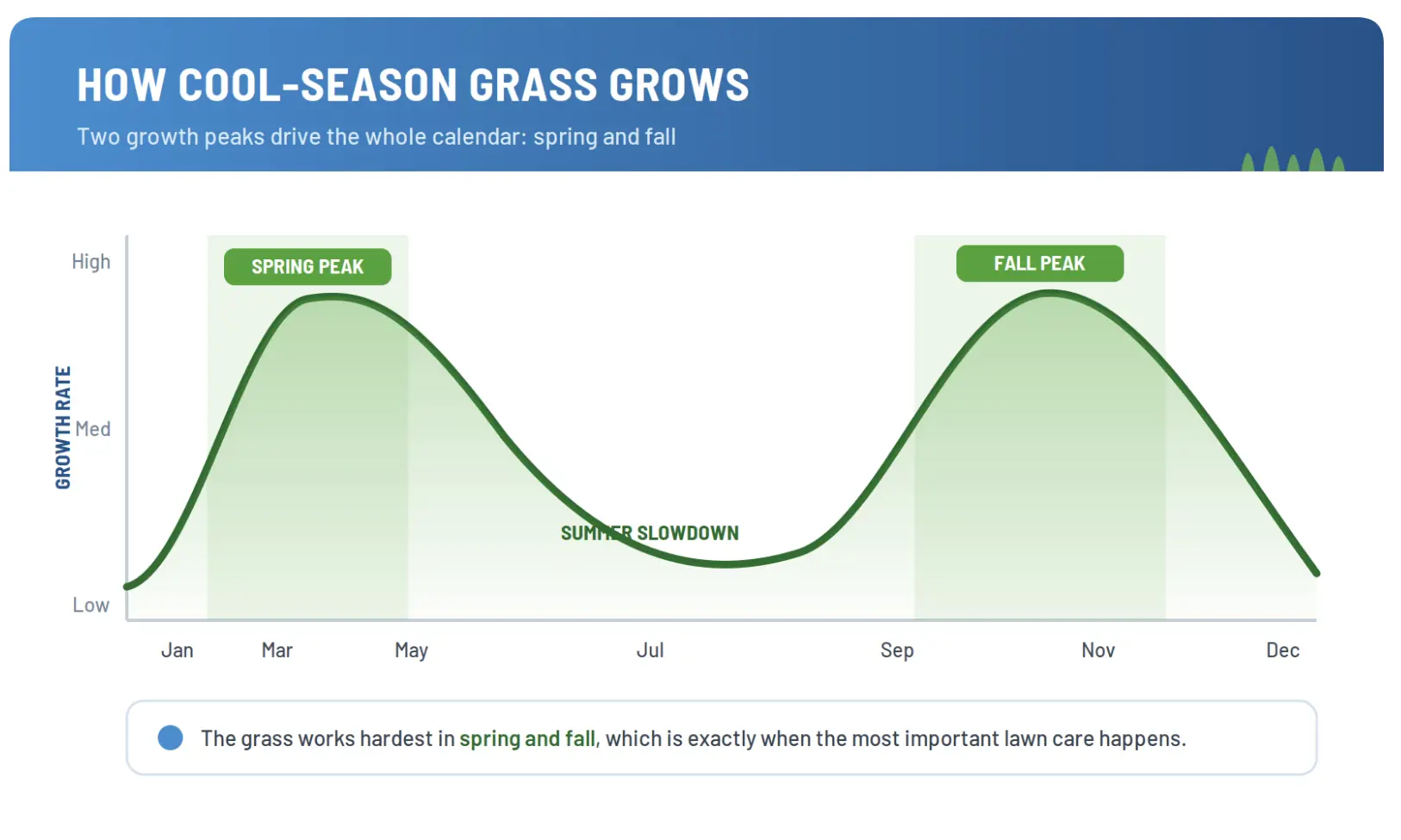 cool season grass diagram
