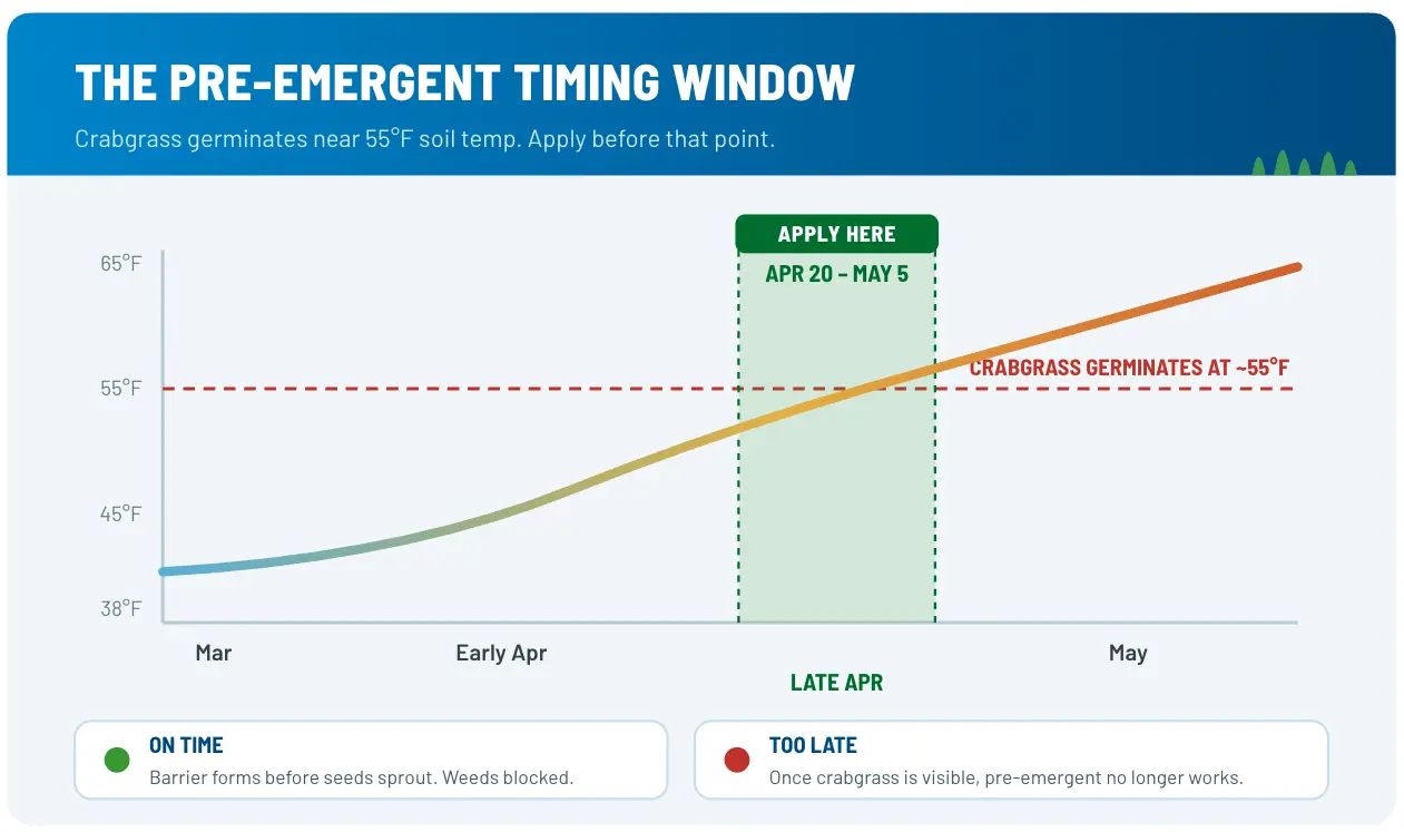 Pre-emergent timing window graphic