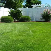 lawn