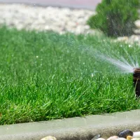 watering lawn, irrigation system