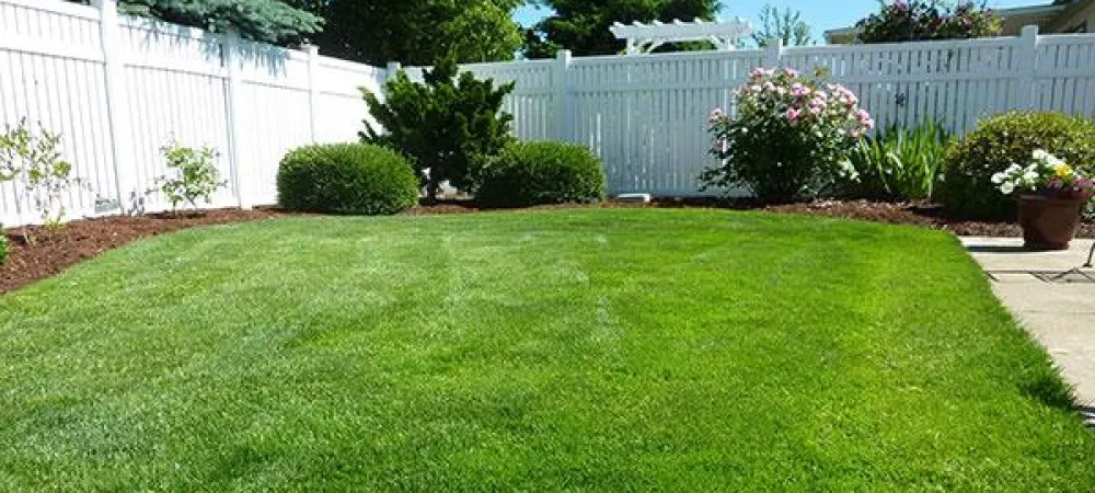 lawn