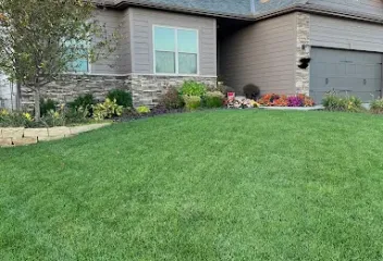 front-yard-view