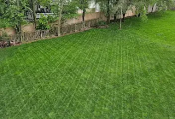 manicured-landscape